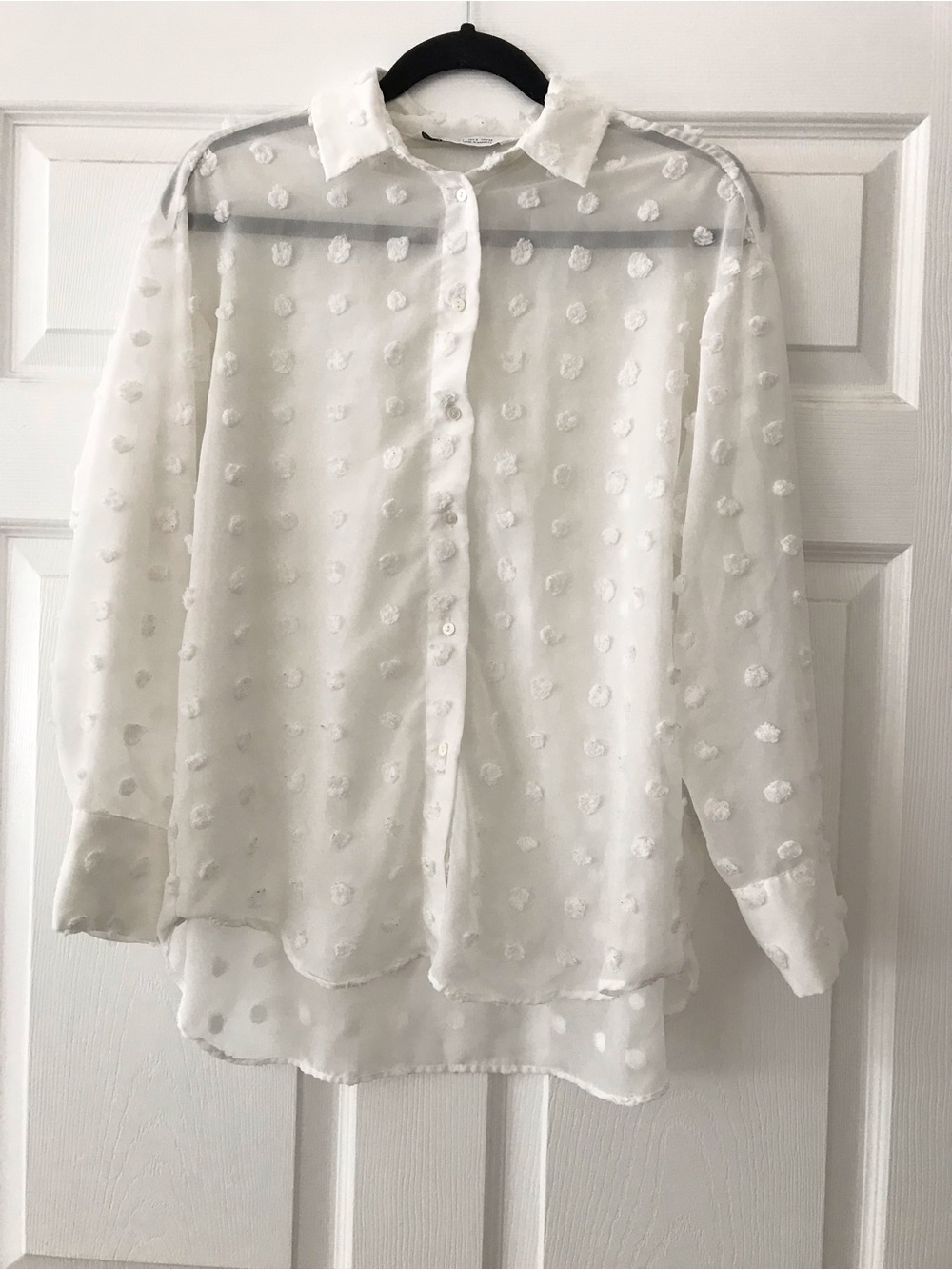 Zara Semi-Sheer Swiss Dot Button-Up Blouse in White